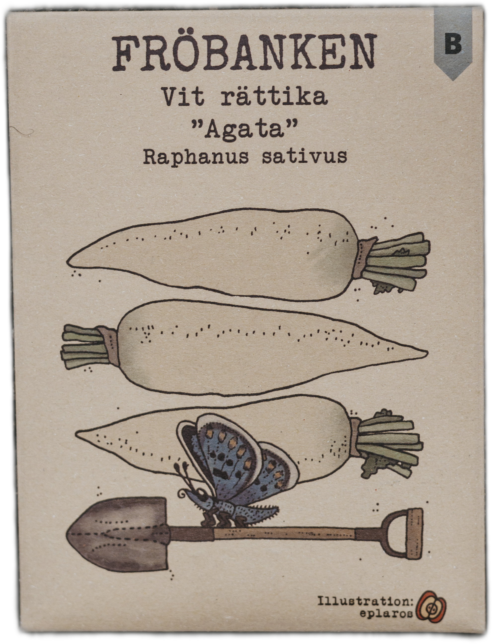 Vit Rättika