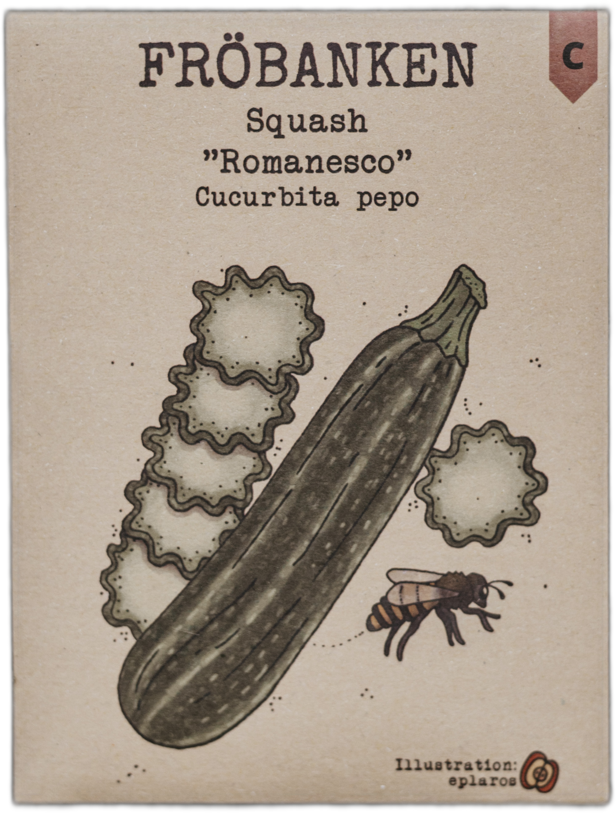 Squash