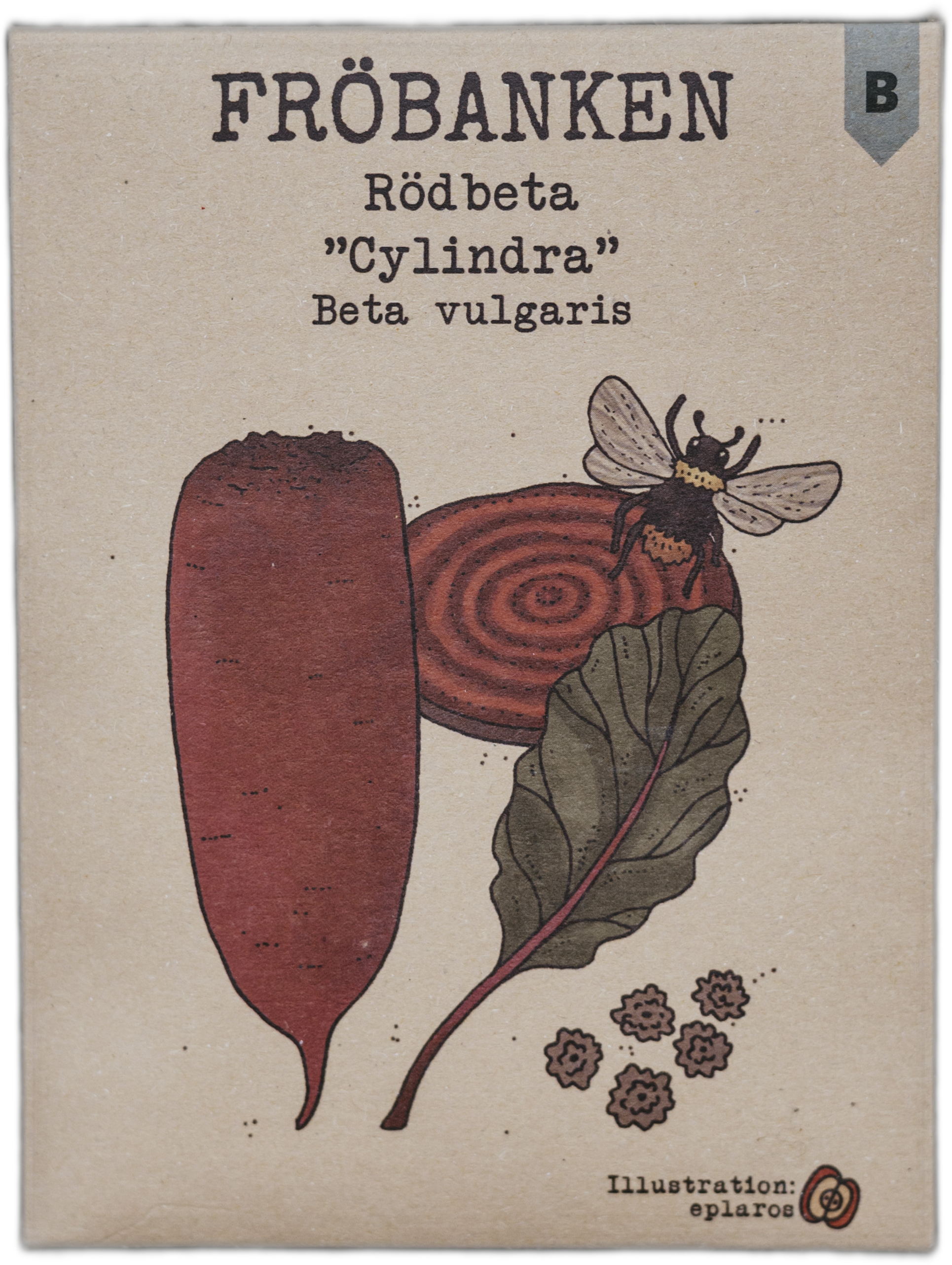 Rödbeta