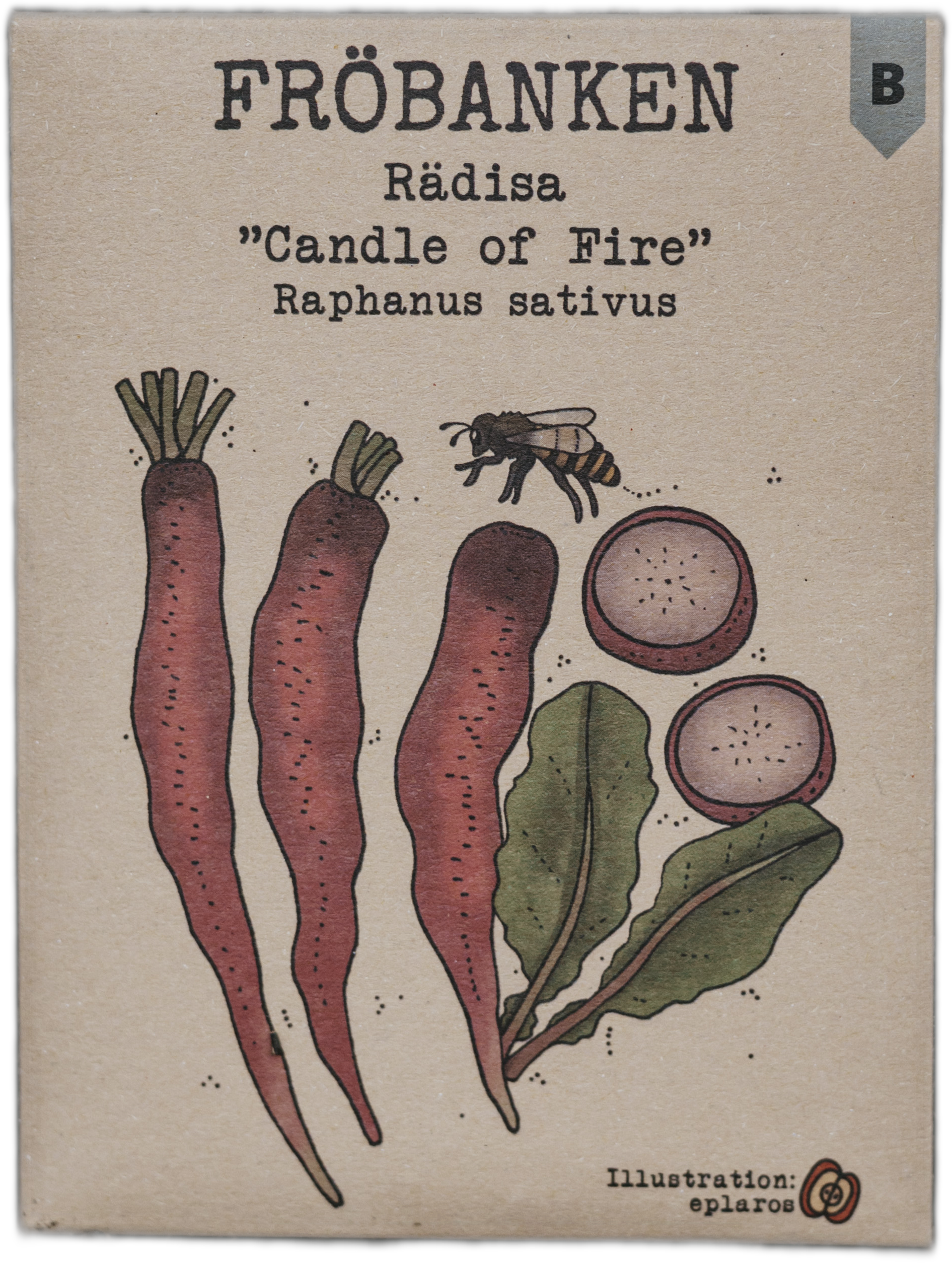 Rädisa
