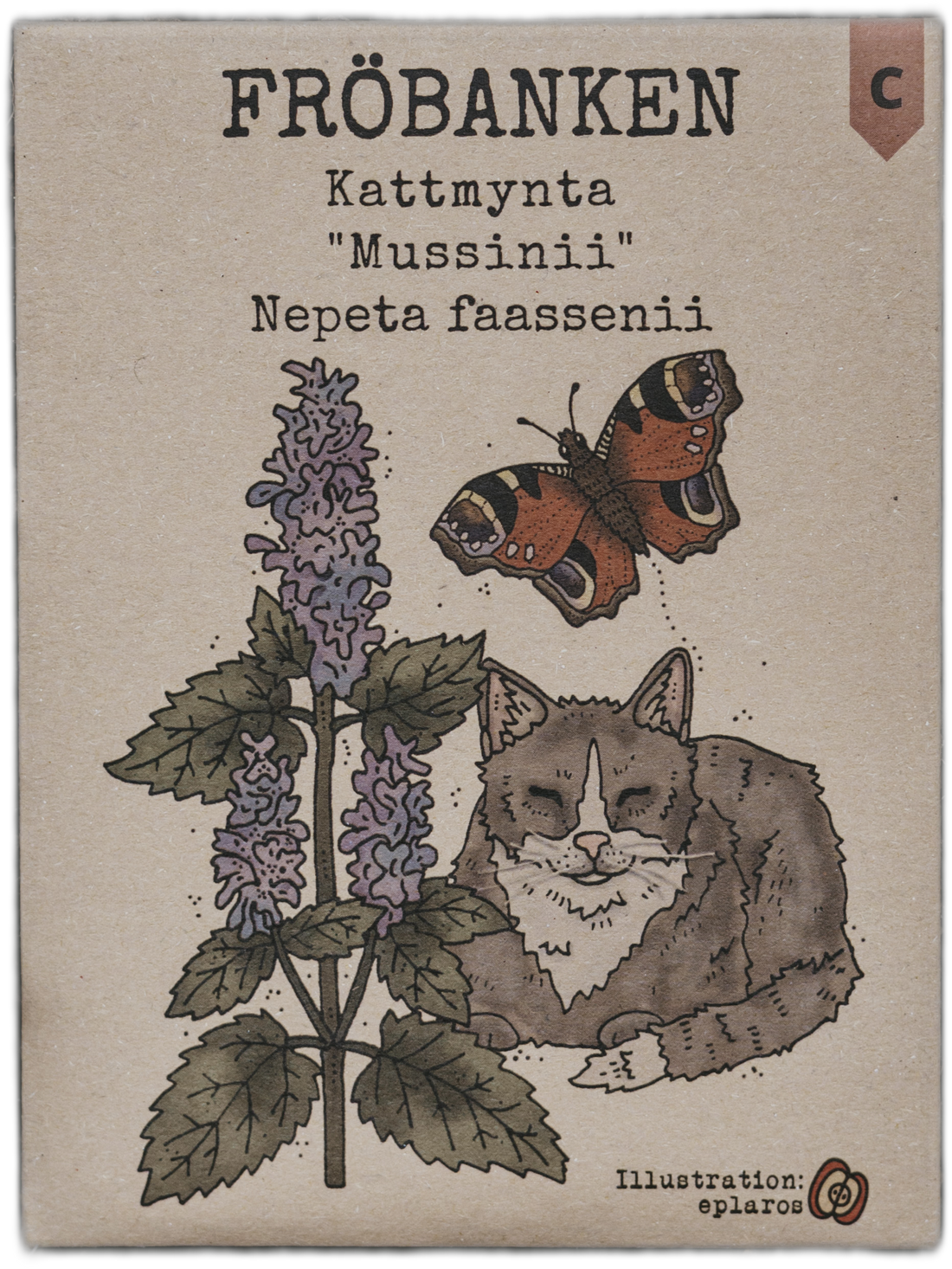 Kattmynta