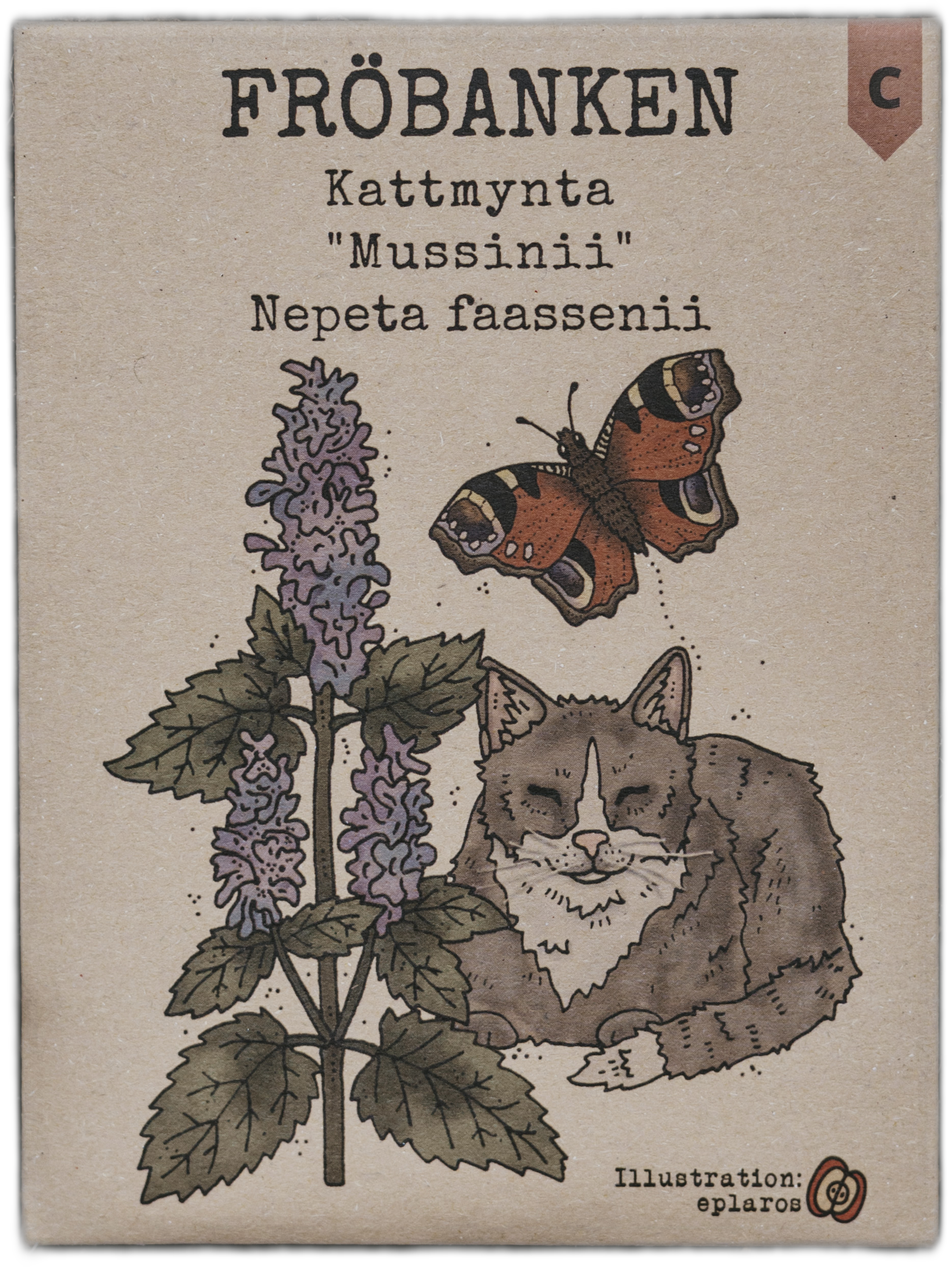 Kattmynta