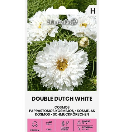 Rosenskära Cosmos Double Dutch White