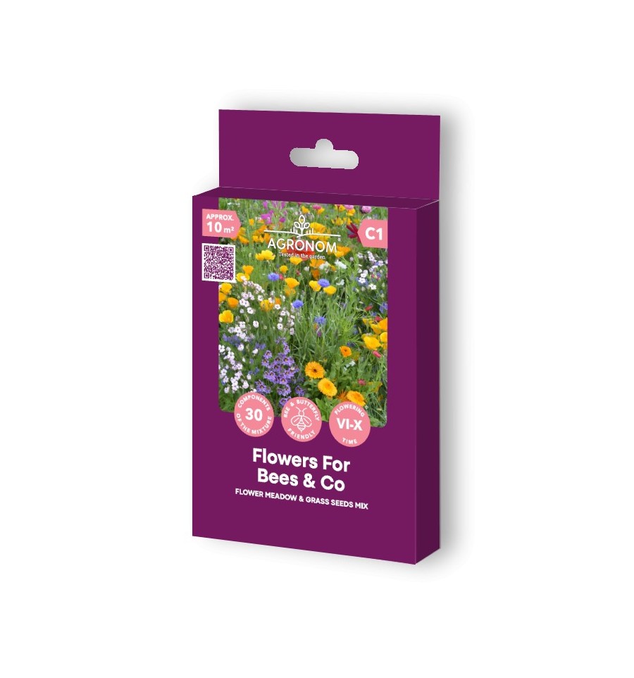 Blomsteräng och Vildgräs Frömix - Blommor för bin & kompani
