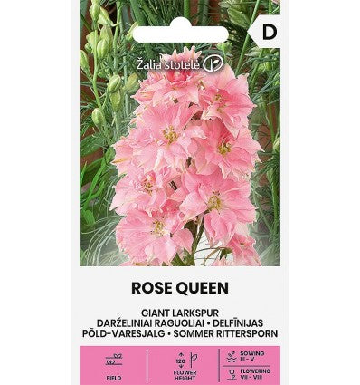 Giant Larkspur Rose Queen