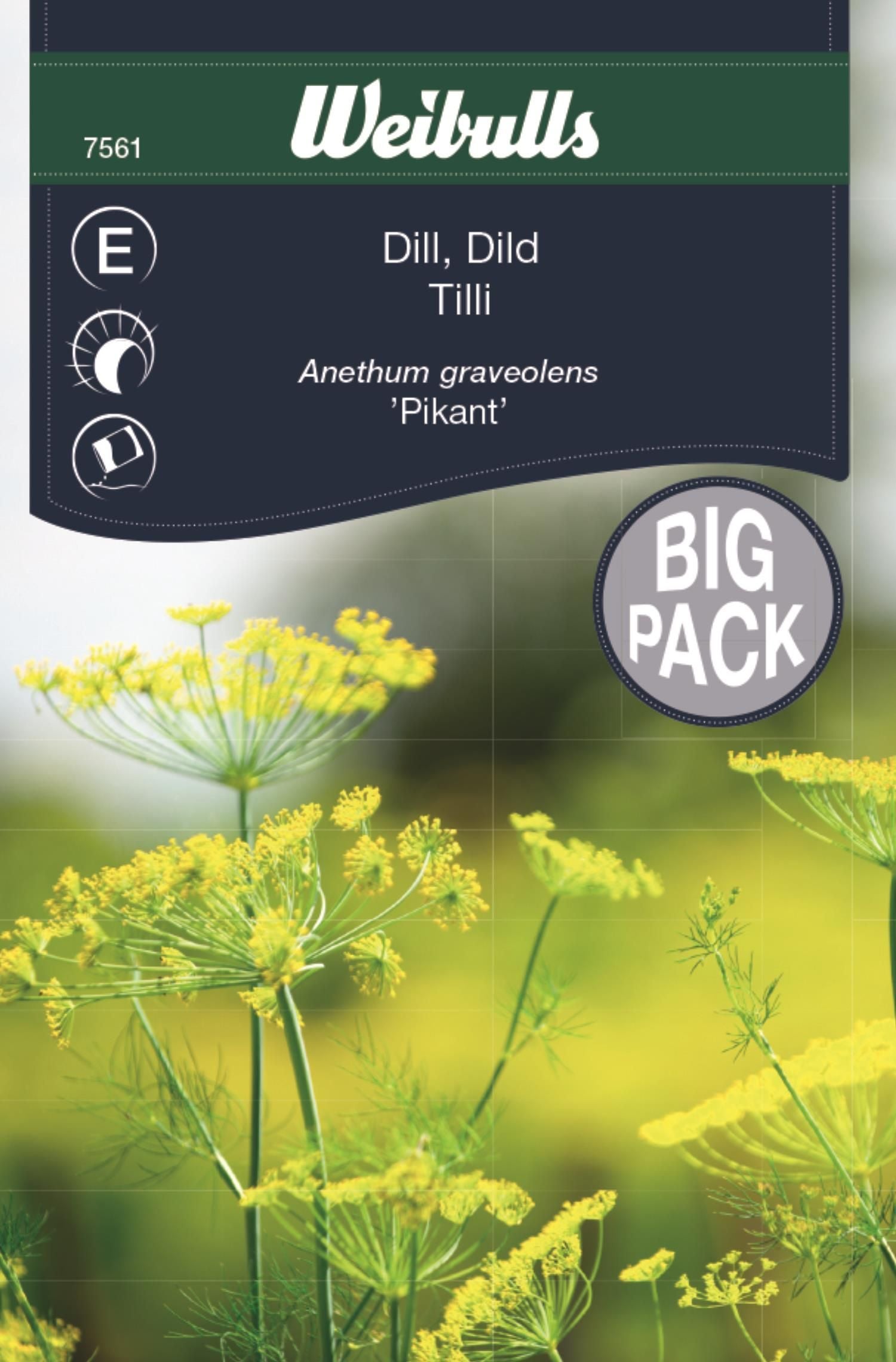 Dill storport