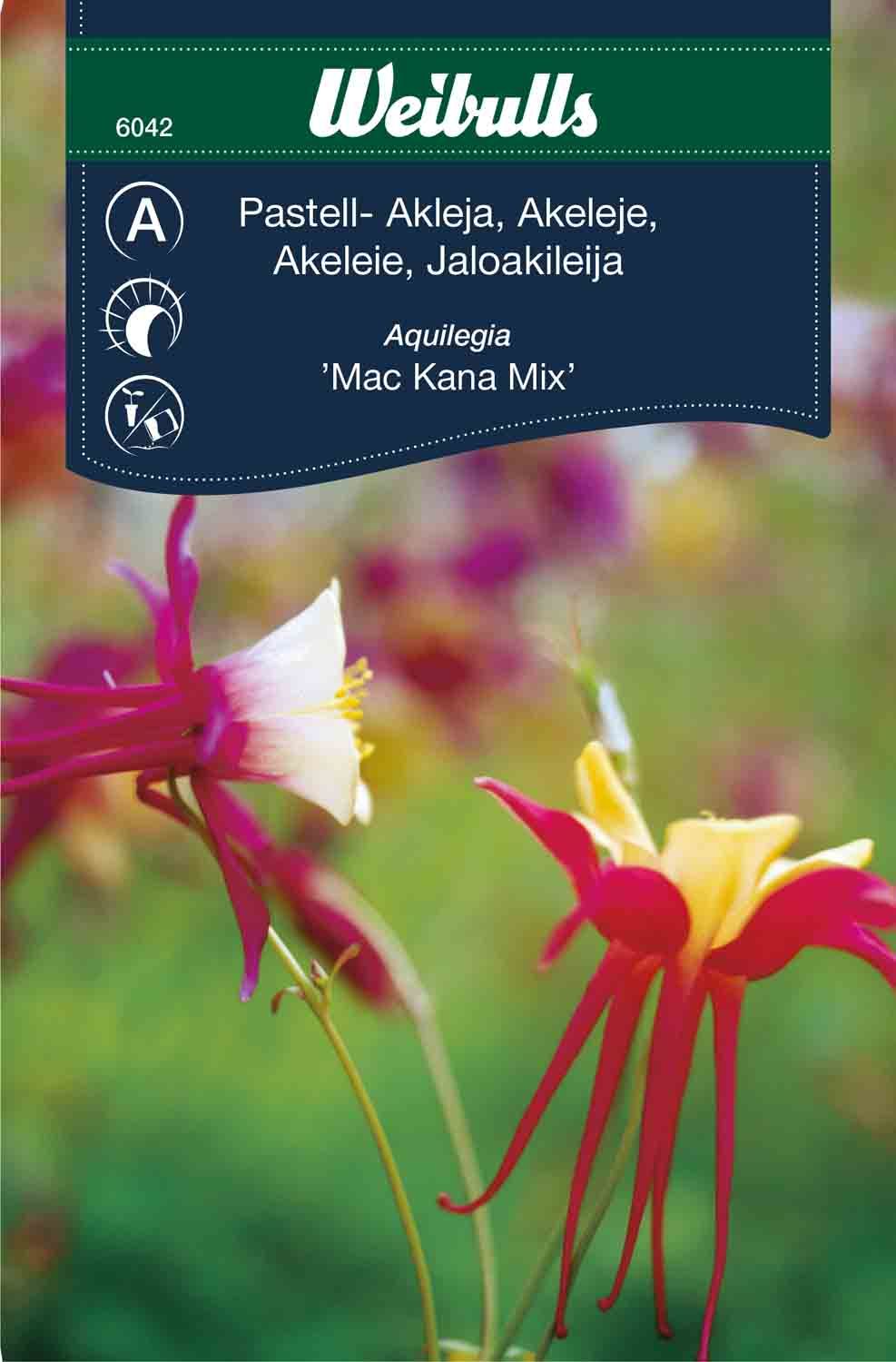Akleja pastell