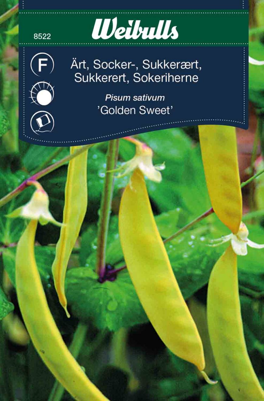 Ärt, socker