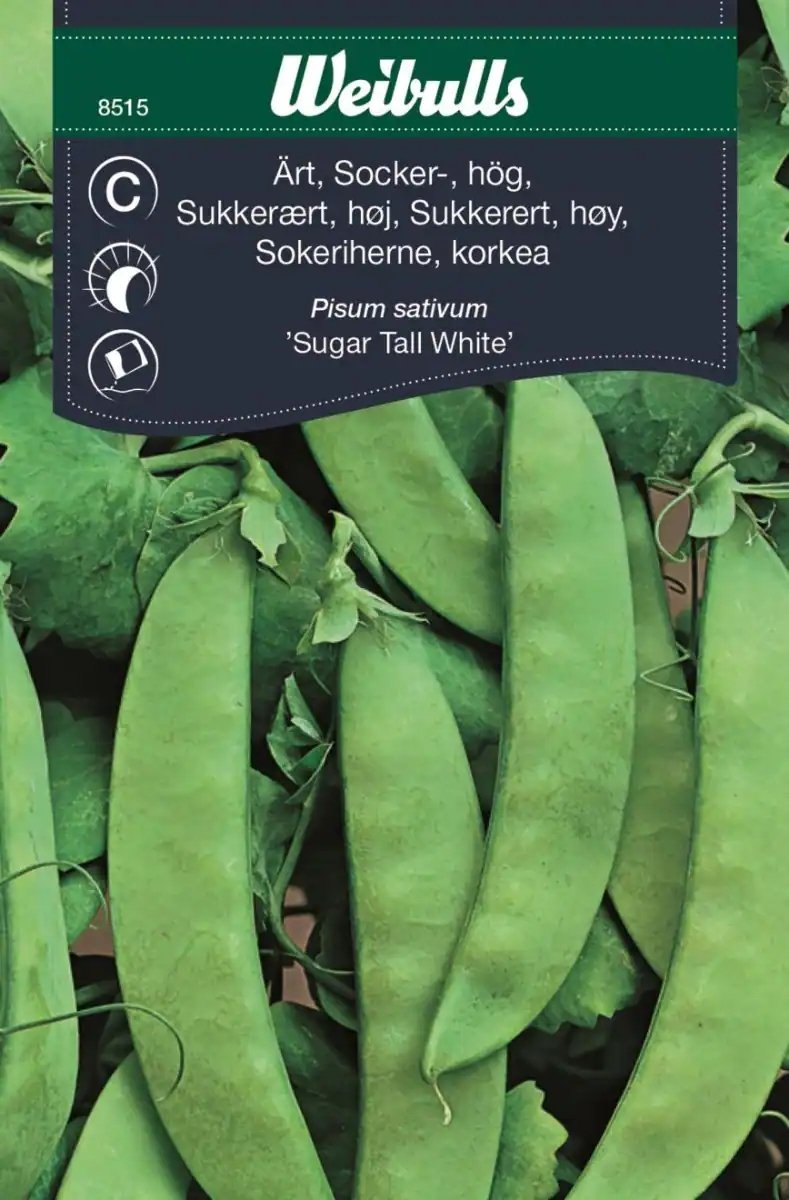 Ärt, sockerärt hög