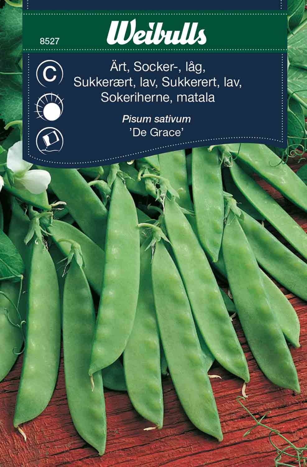 Ärt, sockerärt låg