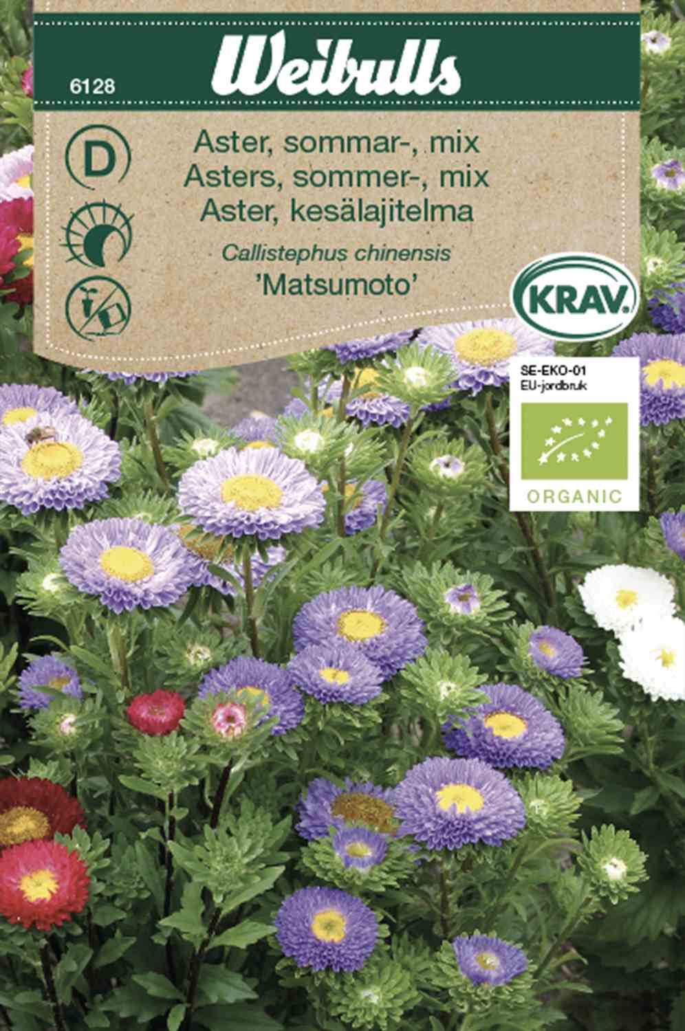 Aster, KRAV Sommar mix Double-flowering China