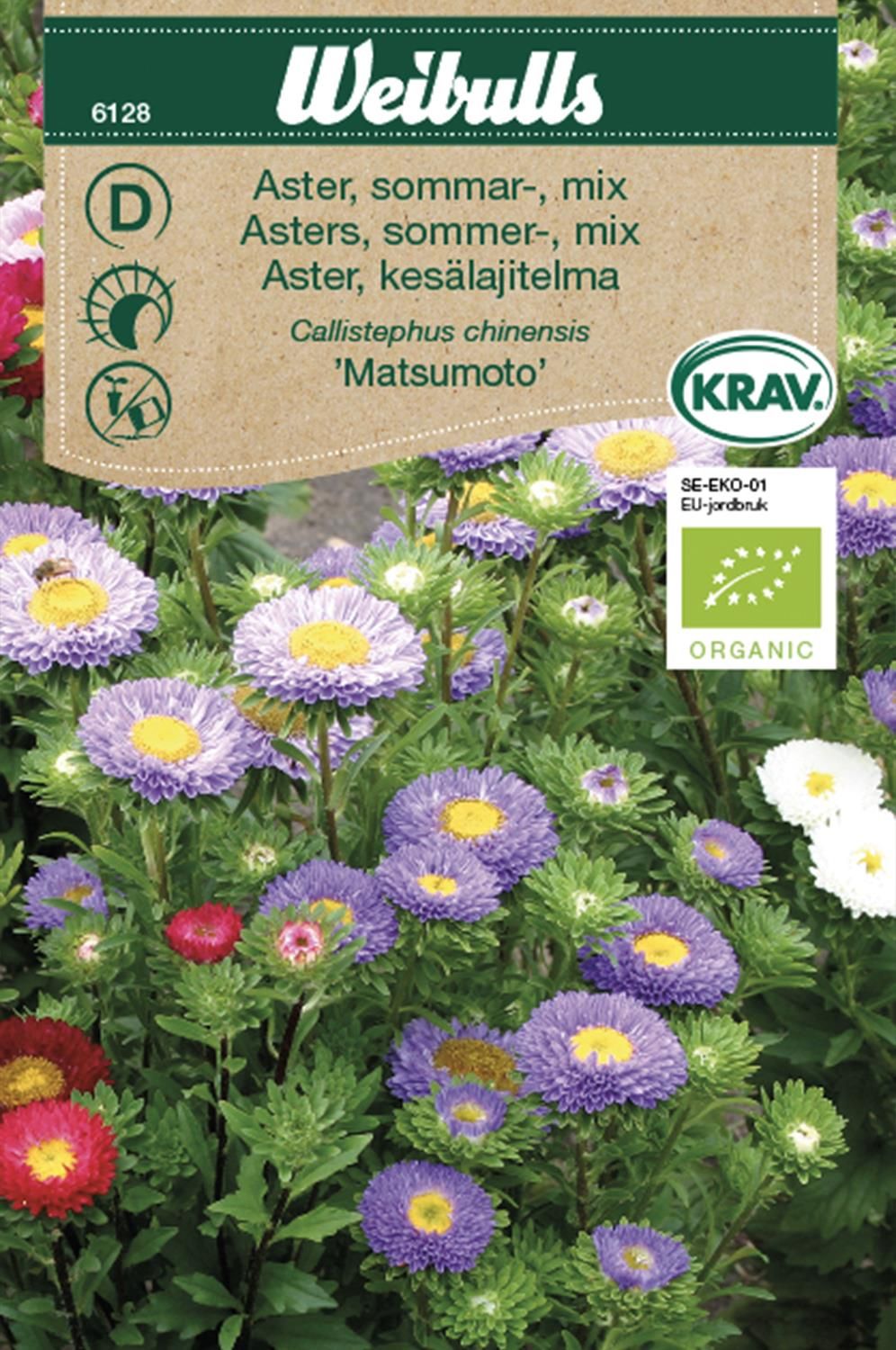 Aster, KRAV Sommar mix Double-flowering China