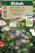 Aster, KRAV Sommar mix Double-flowering China