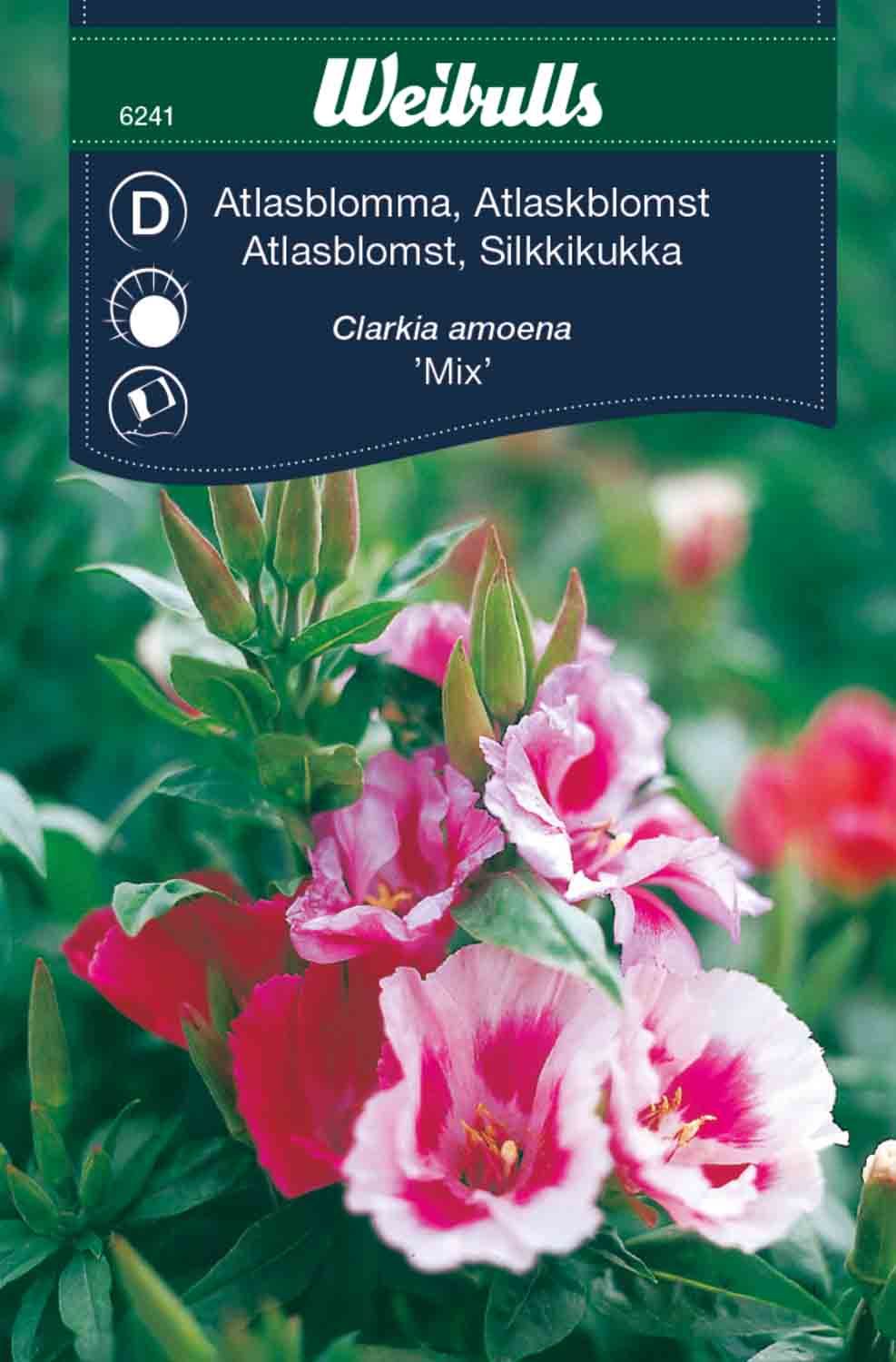 Atlasblomma
