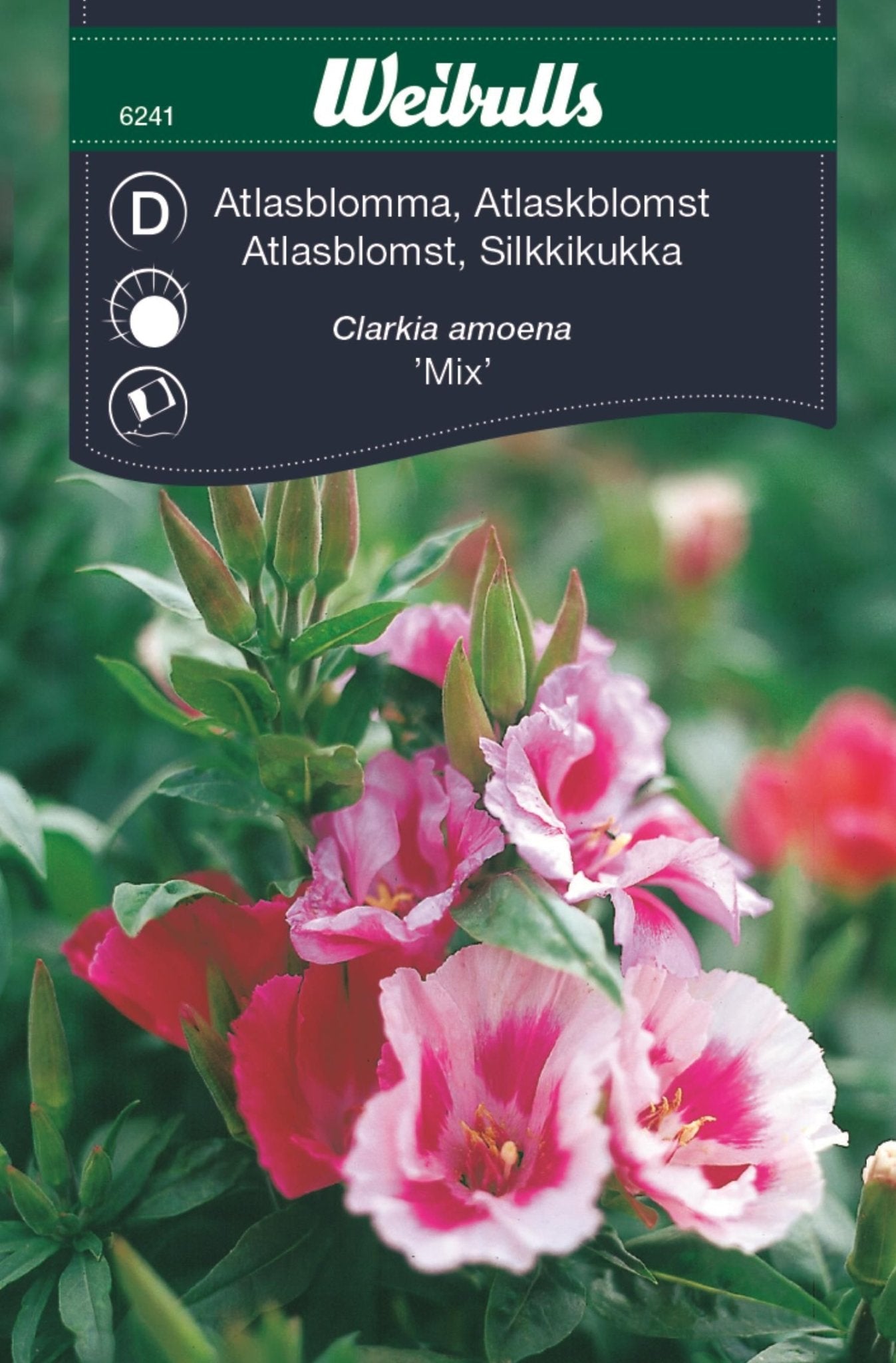 Atlasblomma