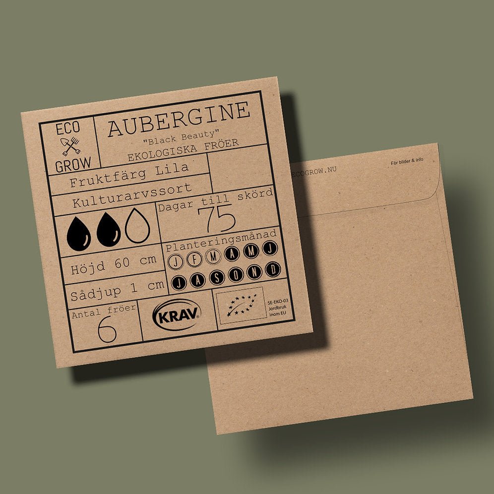 Aubergine