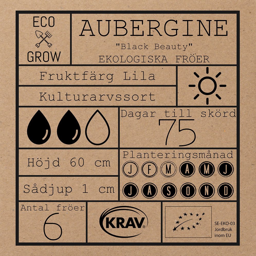 Aubergine
