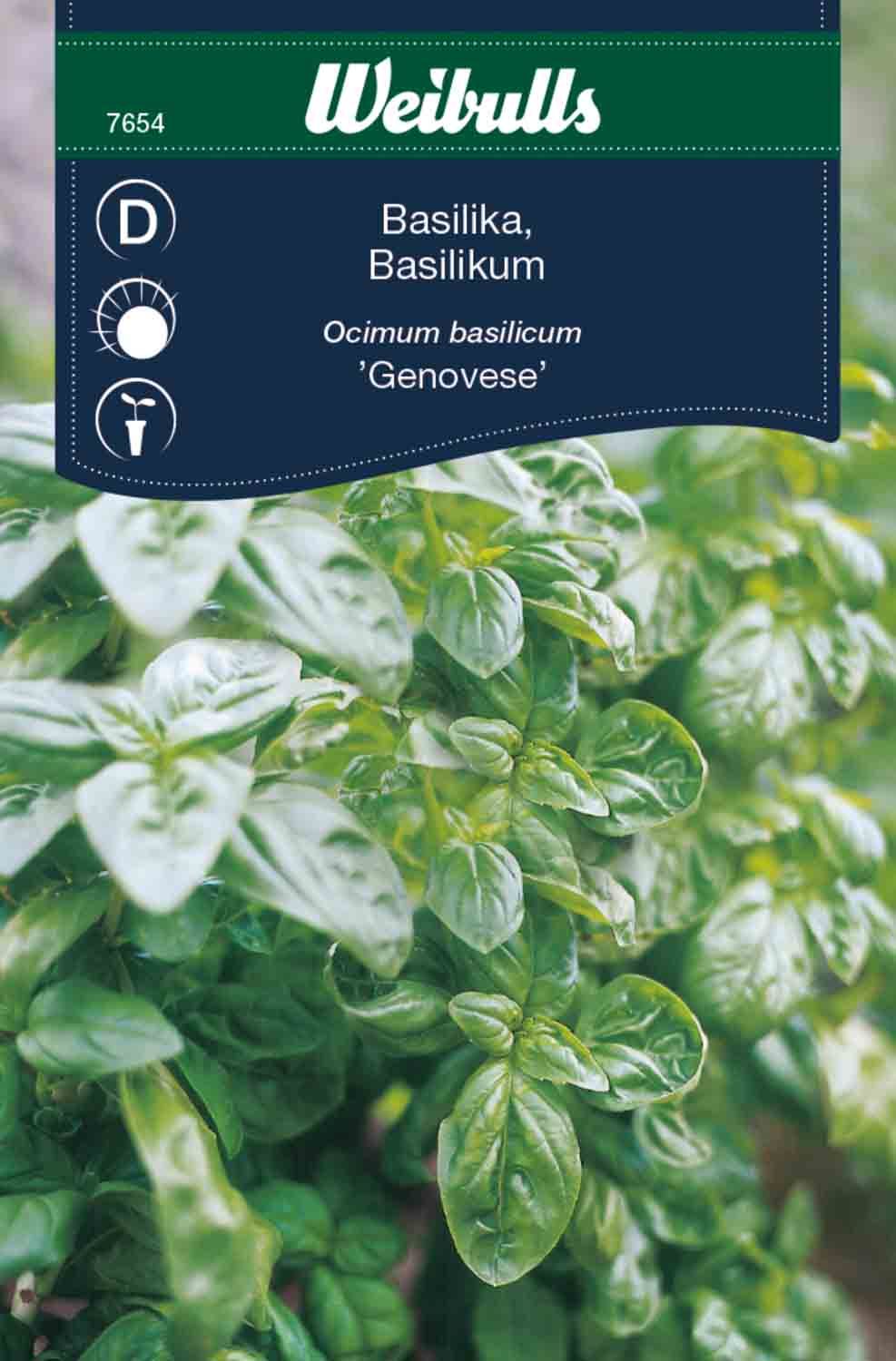 Basilika