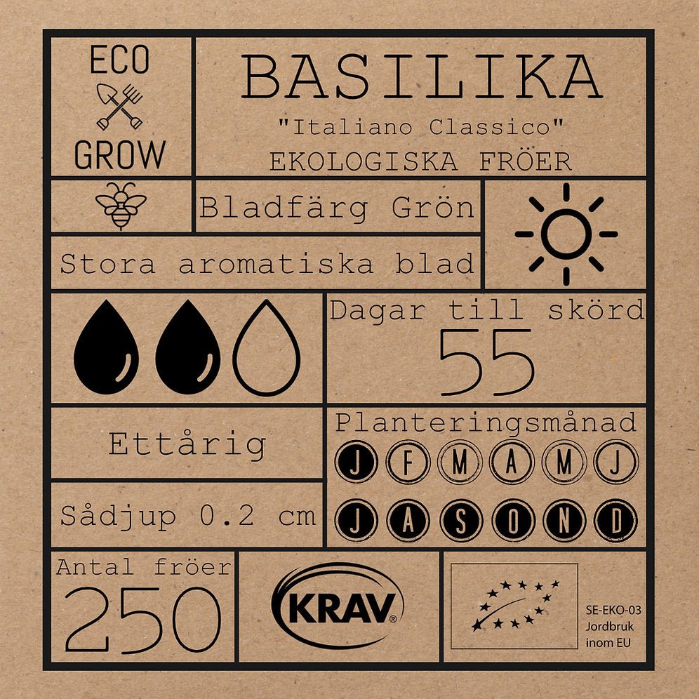 Basilika
