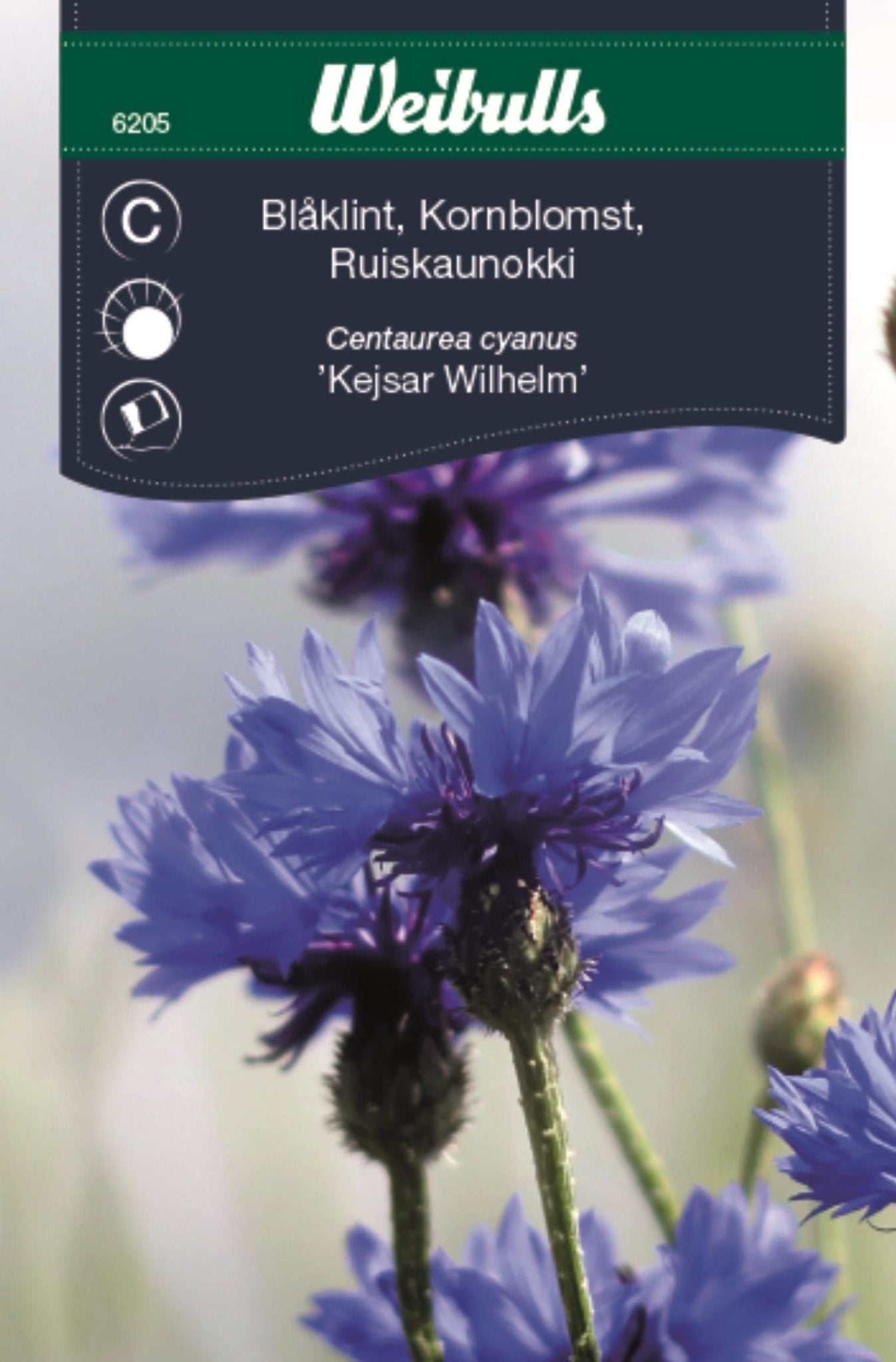 Blåklint