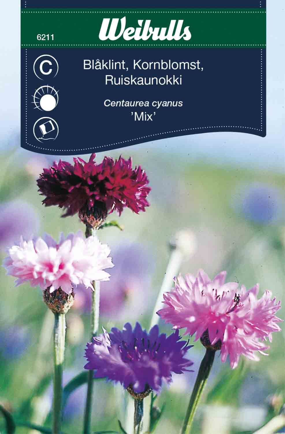 Blåklint