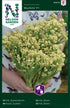 Blomkål