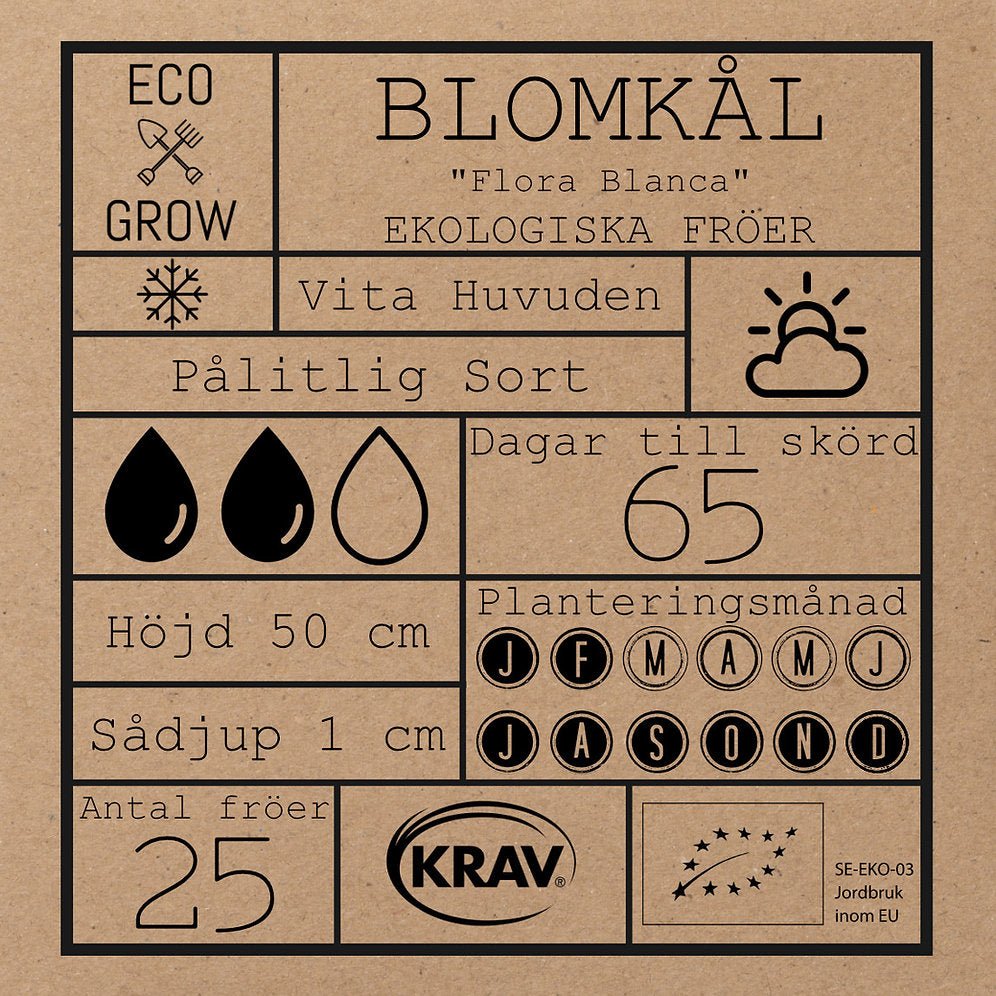 Blomkål