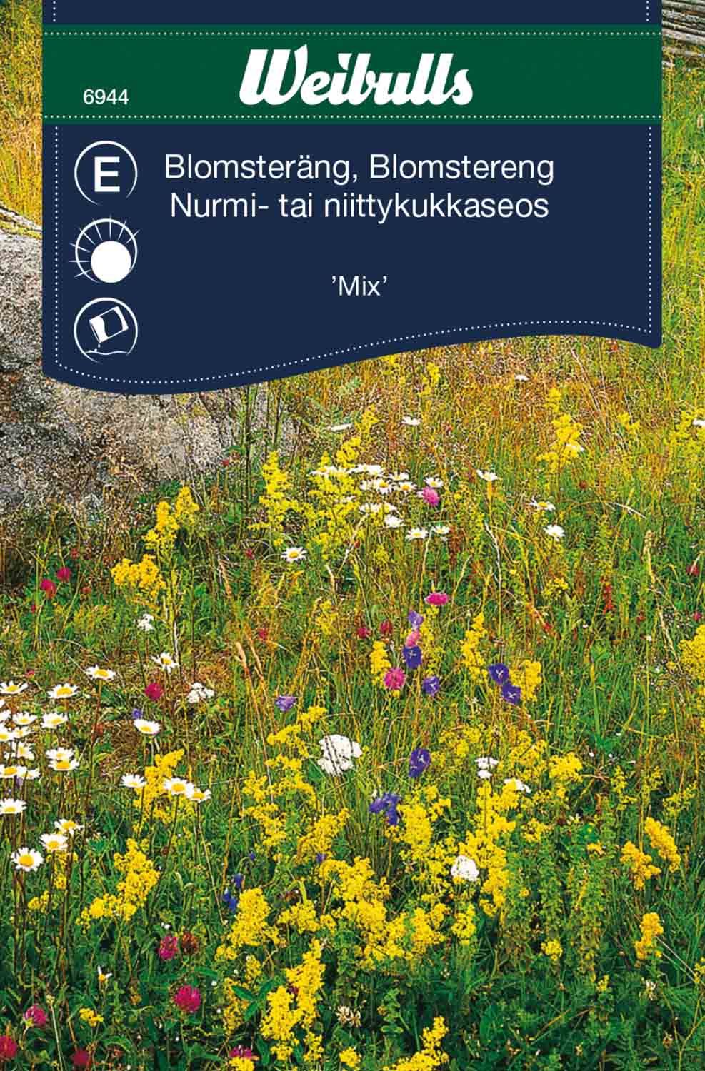 Blomsterängsblandn