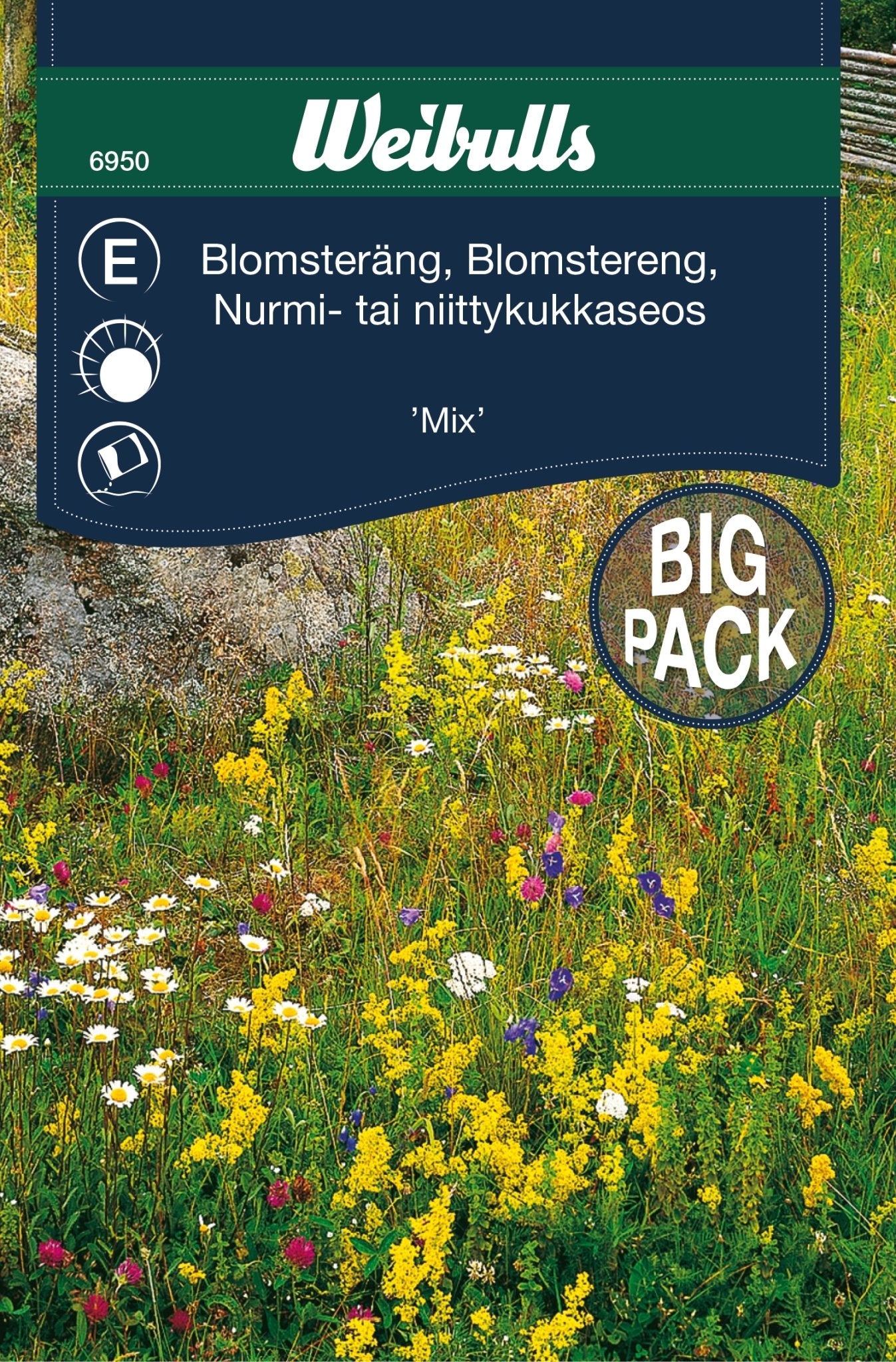 Blomsterängsblandn storp