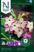 Blomstertobak
