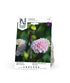 Bolldahlia