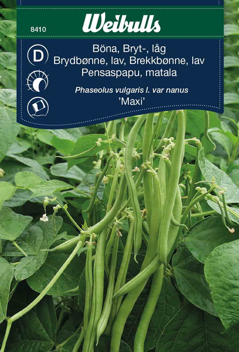 Böna, bryt låg