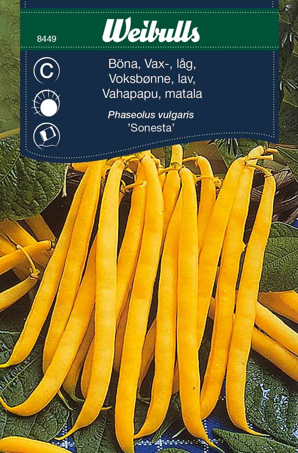 Böna, vaxböna låg
