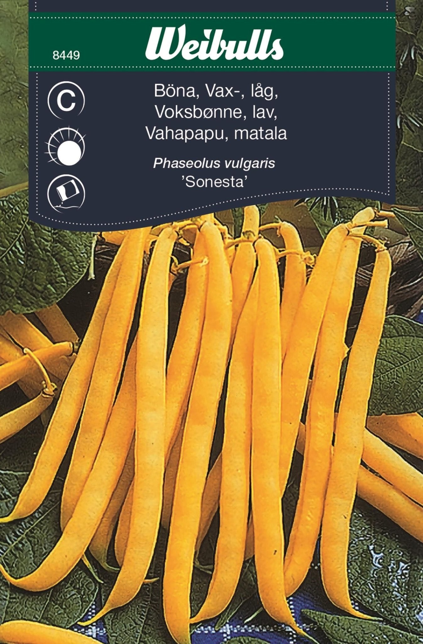 Böna, vaxböna låg