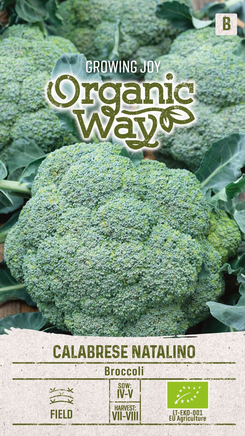 Broccoli