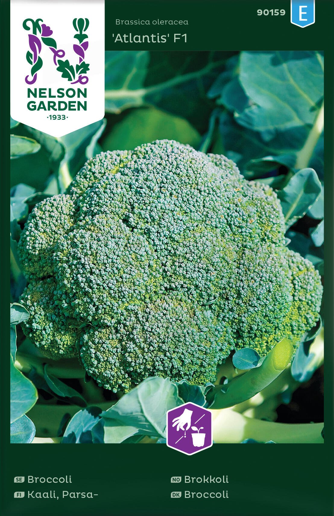Broccoli
