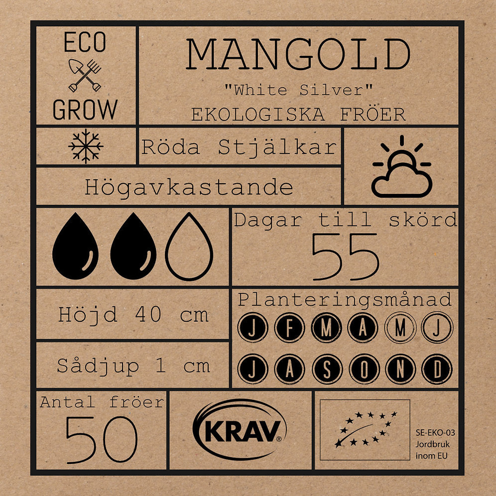 Mangold