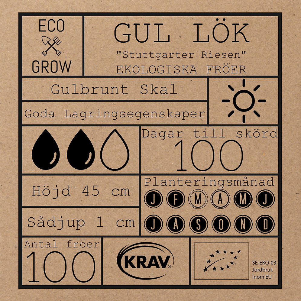 Gul lök
