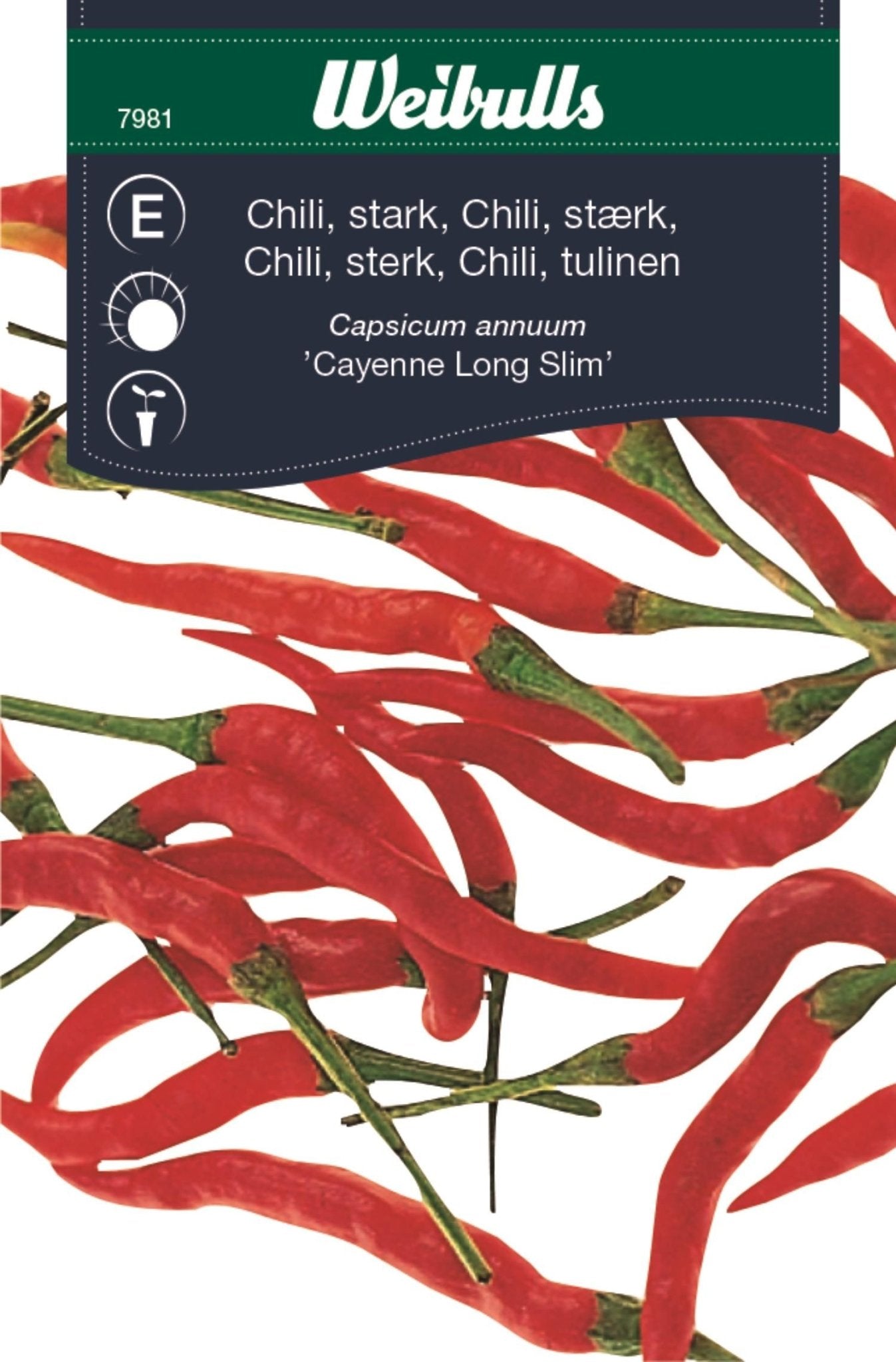 Chili