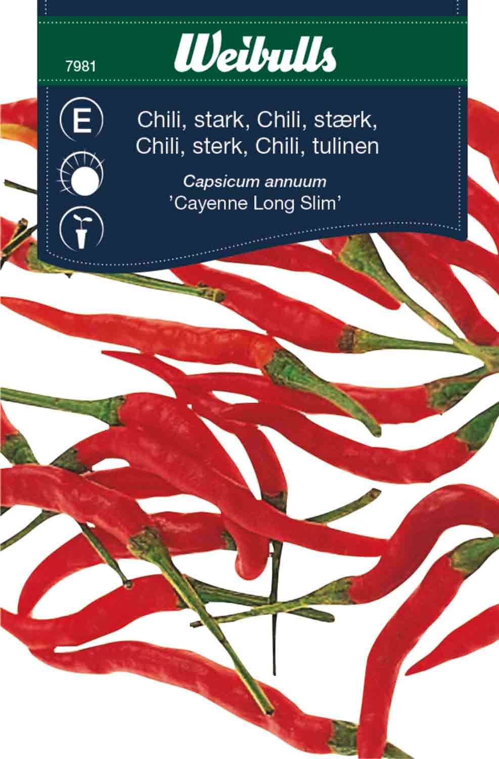 Chili