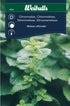 Citronmeliss