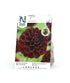 Dekorativdahlia