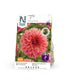 Dekorativdahlia