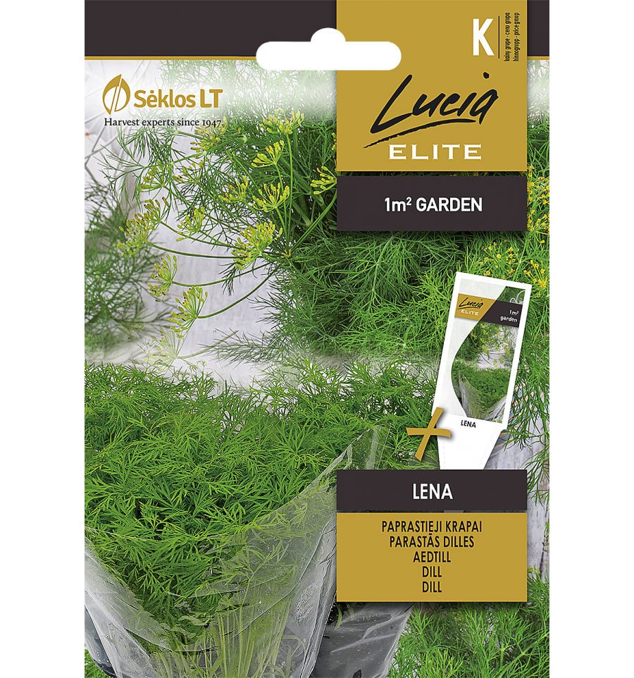 Dill