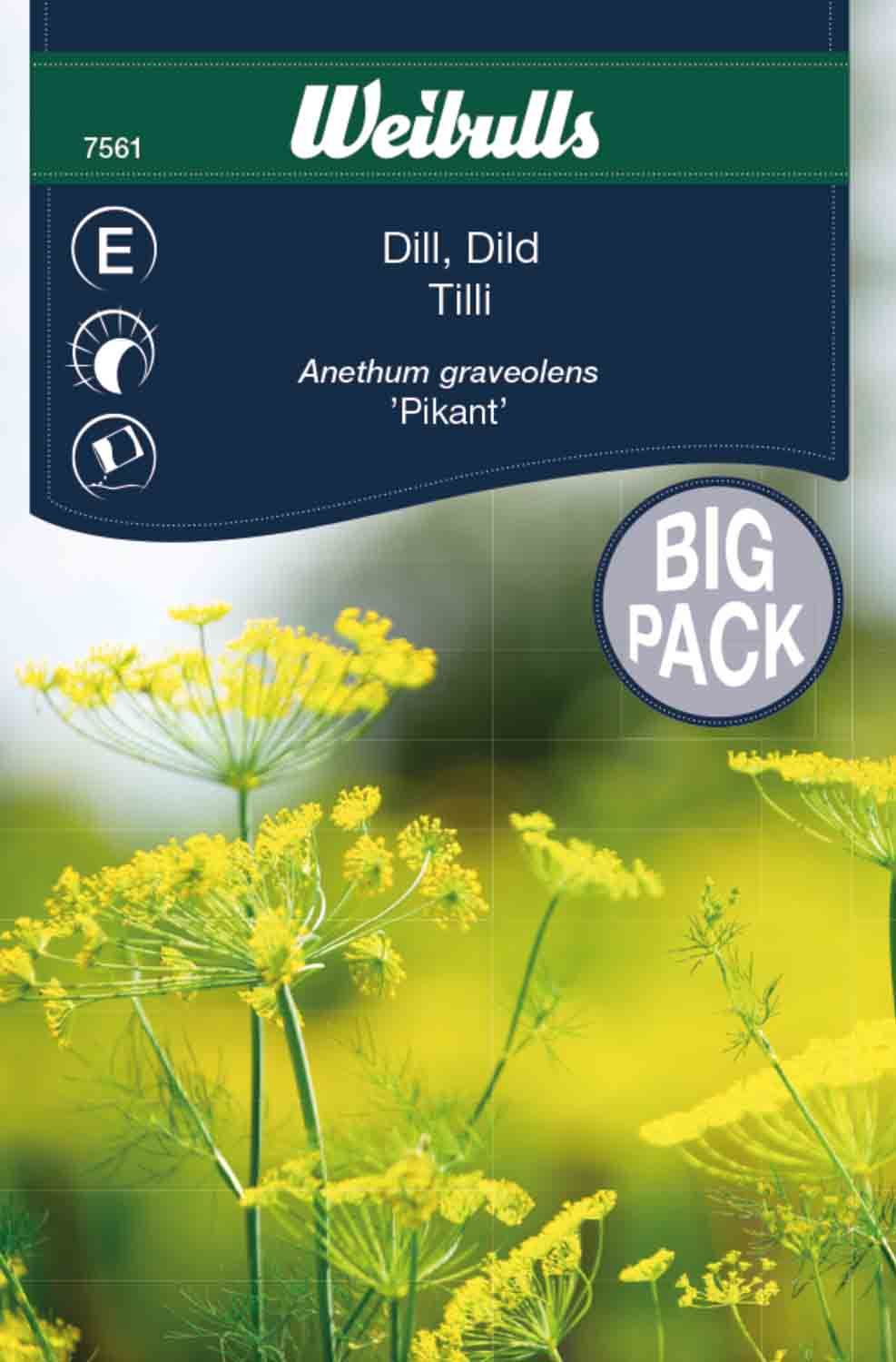 Dill storport