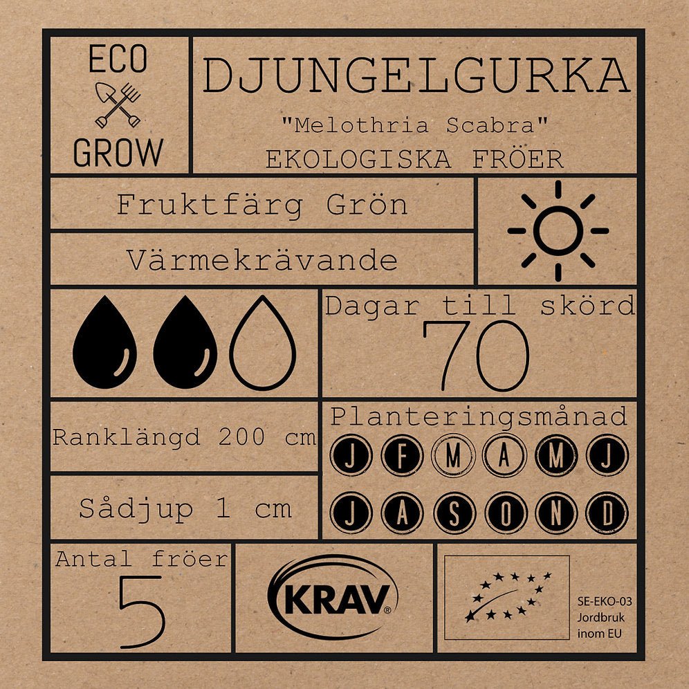 Djungelgurka