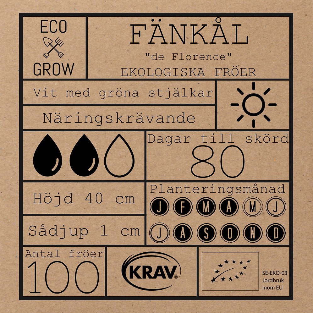 Fänkål