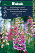 Fingerborgsblomma