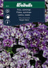 Flox