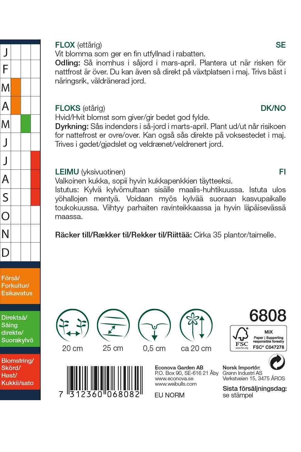 Flox vit Phlox